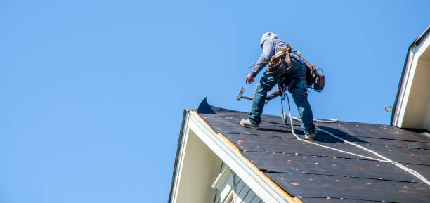 Best Metal Roofing Contractor  in Jasonville, IN